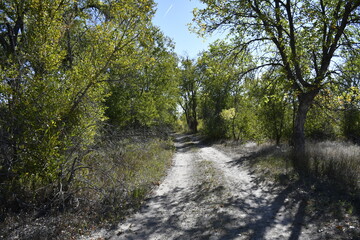 walk path with the nature,  Fort Laramie National Historic Site, Wyoming 