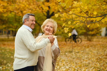 Active seniors on a walk in autumn forest