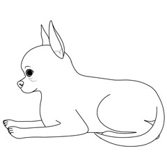 Colouring page, hand drawn, vector. Dog 5, breed Chihuahua, object isolated on white background.
