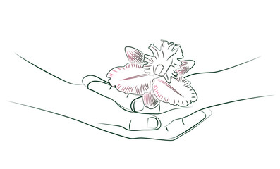 Beautiful female hands with pink orchid flower close-up. Hand touches delicate orchid. Tropical plant in hands, nature background. Ecology concept. Spring fresh feeling. Editable linear sketch