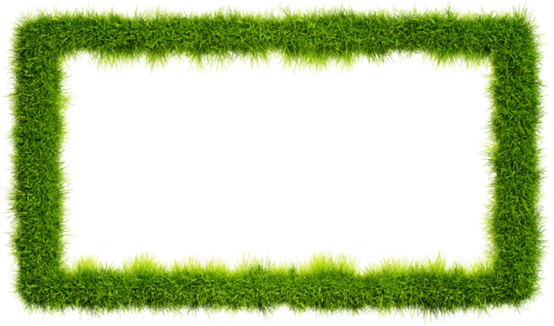 Grass frame on a transparent background. Grass rectangular frame, copy space. - Powered by Adobe