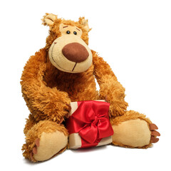 Teddy bear with a gift in his hands, isolate
