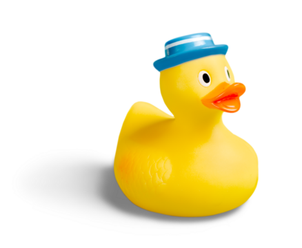 Yellow rubber duck on White Background