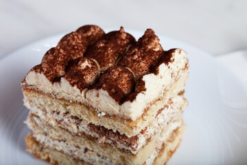 Tiramisu Cake on a White Plate