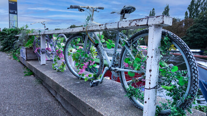 Bike on the river with flowers, blue sky and clouds