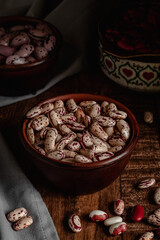 Brown bowl with beige red pinto beans on a dark wooden background. Organic heirloom beans. Healthy eating concept.