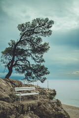 Ławka na skałach w Chorwacji u wybrzeży Adriatyku  - obrazy, fototapety, plakaty