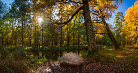 Panorama with autumn park on a sunny day