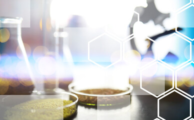 Research Analyzing Agricultural Grains And seeds In The Laboratory. Background with futuristic flare.