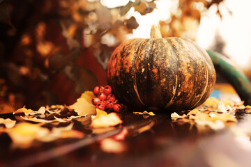 A rustic autumn still life with pumpkins and golden leaves on a wooden surface. Bright sunlight...