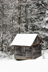 Stary domek w zimowym lesie © Rafal Kot