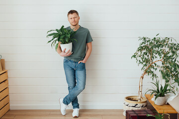 Young bearded man standing, holding flower pot with green plant house. Concept of home gardening.