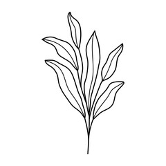 Doodle line art branch with leaves. Hand drawn twig, monochrome linear garden floral elements
