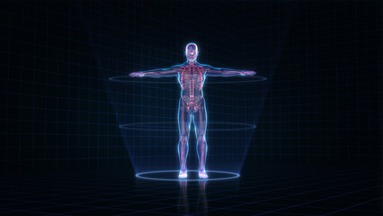 Hologram human anatomy and skeleton on a dark background, 3D rendering 