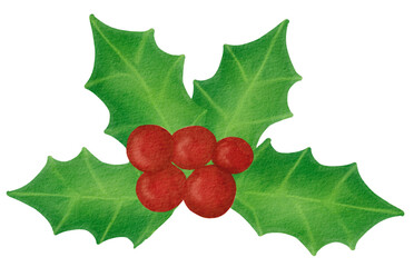 holly leaves and berries watercolor