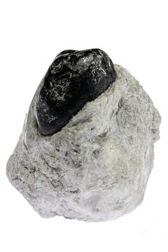 Apache tear (obsidian) from the USA isolated on white background