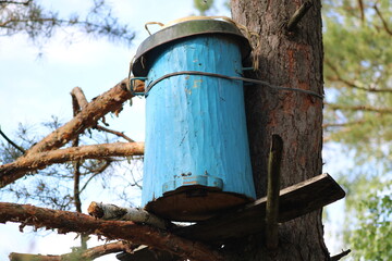 A hive for extracting honey from fields and forests