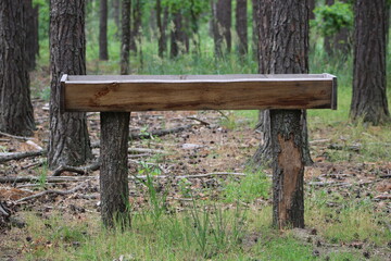Naklejka premium Feeder for big horned animals in the woods