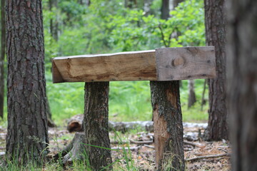 Feeder for wild animals in the forest