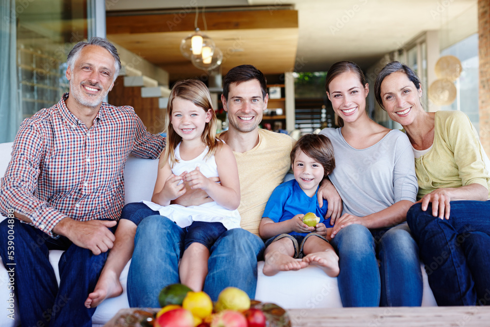 Canvas Prints Theyre happiest when theyre all together. A portrait of a happy multi-generational family gathered at home in their living room.