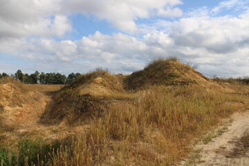 A golden meadow under a blue sky