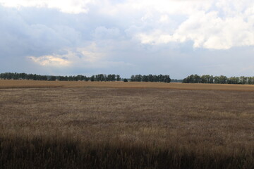 Obraz premium Agriculture in rural areas of Ukraine