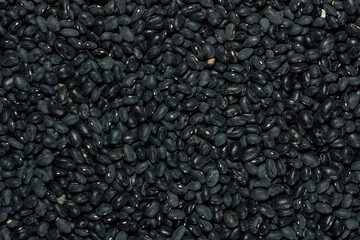 bulk black bean pile, mexican agriculture and gastronomy