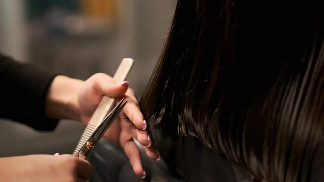 Cosmetology. The barber cuts the ends of the client's hair