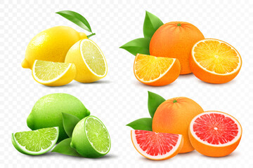 Set of citrus lemon, mandarin, lime, orange, grapefruit - whole, cut half and slices. Fresh sour citrus fruit with vitamins. Realistic 3d vector illustration isolated on white background - obrazy, fototapety, plakaty