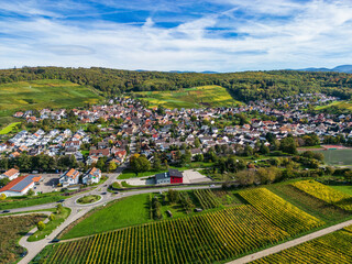 Blick über die herbstlichen Weinberge auf Pfaffenweiler bei Freiburg im Breisgau - 539014457