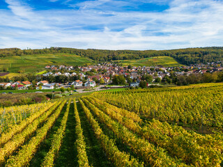 Blick über die herbstlichen Weinberge auf Pfaffenweiler bei Freiburg im Breisgau - 539014494