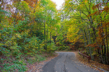Mountain road in the autumn