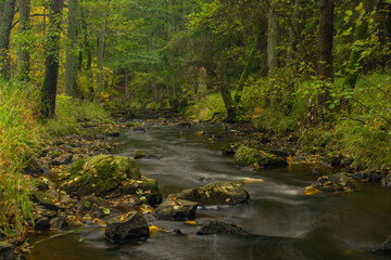 Pramensky creek near Mnichov and Sitiny villages in autumn dark cloudy morning