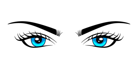 Blue luxurious female eye with eyebrows and lush eyelashes. Business card idea, vector typography. Perfect womans eyes on white background. vector 