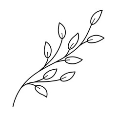 Fototapeta premium Doodle line art branch with leaves. Hand drawn twig, monochrome linear garden floral elements