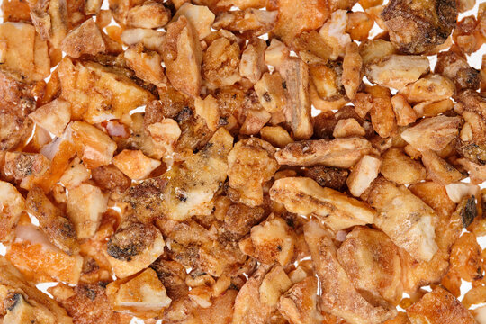 Close-up of Benzoin Siam (Styrax tonkinensis Craib), a very aromatic tree resin used in perfumes, as incense or essential oil for scenting rooms