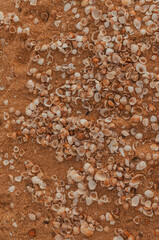 water drops on the sand