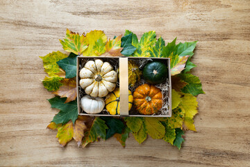 Thanksgiving background with pumpkins in a basket and leaves on light wooden table