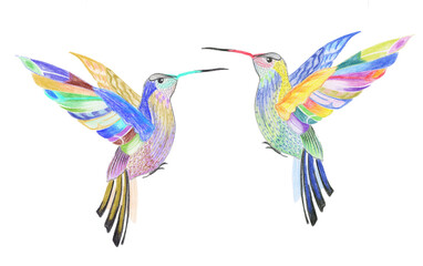 Small motley bird sits, color graphics in watercolor and black ink, isolated on a white backgound