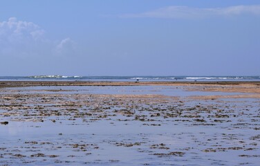 Naklejka premium Maré baixa em Morro de São Paulo _ Bahia _ Brasil