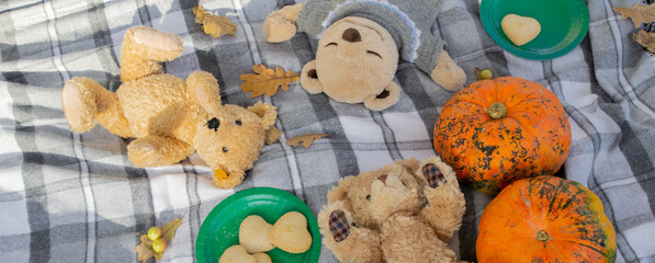 Banner autumn picnic. Teddy bears lying on a plaid blanket. Pumpkins, autumn leaves, heart-shaped...