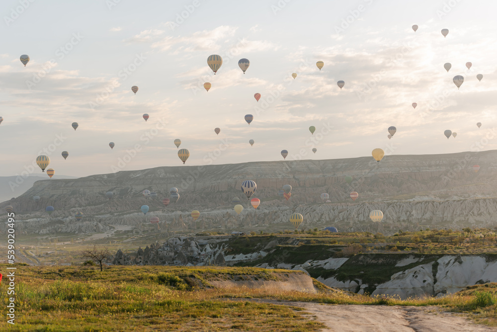 Wall mural Hot Air Ballooning in Cappadocia, Turkey