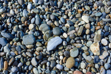 Smooth pebble stone in sunlight. The texture of the pebble beach.
