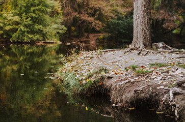 Fall landscape by forest lake