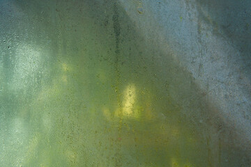 green foil with condensed water particles running down the wall, natural background for the presentation