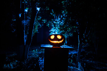 Pumpkin Burning In Forest At Night - Halloween Background. Scary Jack o Lantern smiling and glowing...