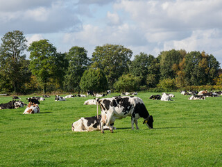 Sch&uuml;ttorf an der Vechte
