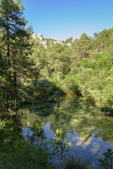 Tree forest reflected in lake water in Nacimiento del Rio Cuervo, Cuenca mountain range, Spain