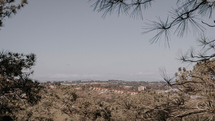 joshua tree national park