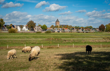 Dutch village Dalfsen in Province Overijssel, scenery with church tower, bridge over the river...